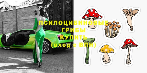 2c-b Богданович