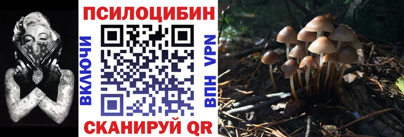 Псилоцибиновые грибы Cubensis hydra сайт Коркино